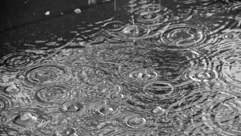 À Lille, l’alerte orages impose des réflexes immédiats