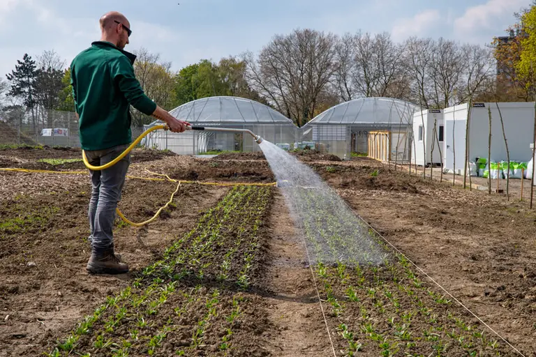 À Lille, l’eau au jardin passe sous règles strictes