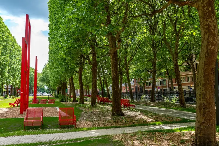 À Lille, une grande place passe au vert