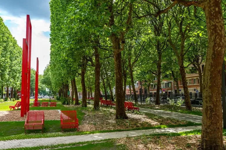 À Lille, une grande place passe au vert