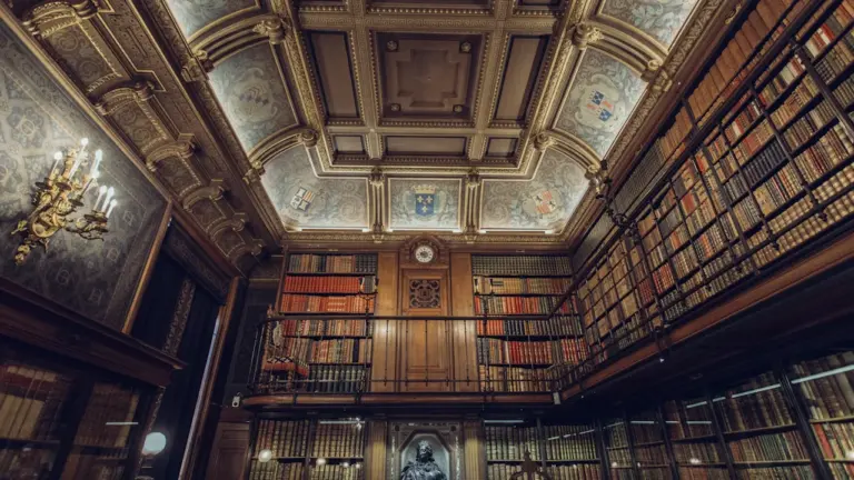 À Metz, les usagers peuvent peser sur les bibliothèques