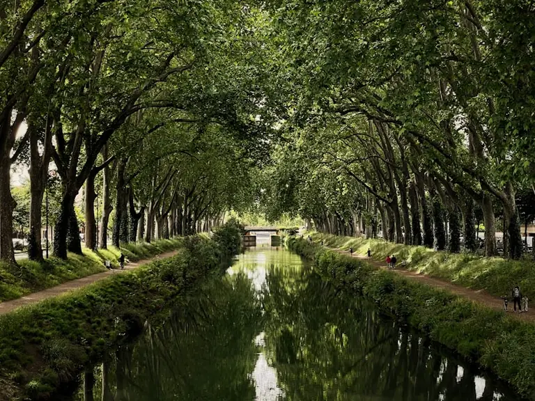 À Toulouse, les promeneurs devront écourter leur sortie