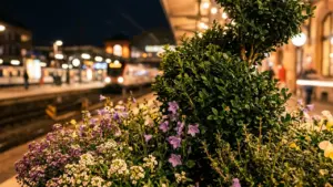 Metz : le Jardin des Lumières gratuit jusqu’en octobre