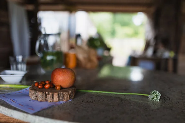 Près d’Orléans, un potager attire les familles
