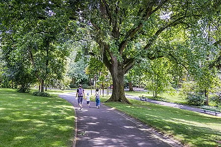 À Angers, les habitants ont leur mot à dire sur deux parcs