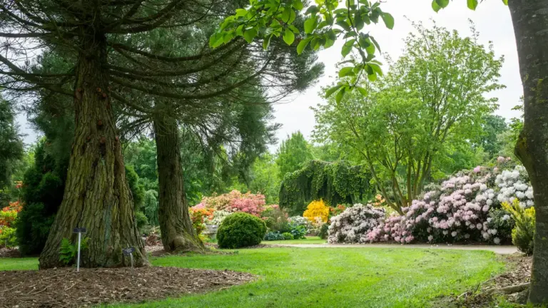 À Bois-Colombes, une expo nature à voir avant le 20 juillet