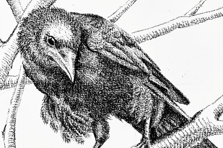À Bois-Colombes, une expo nature à voir avant le 20 juillet