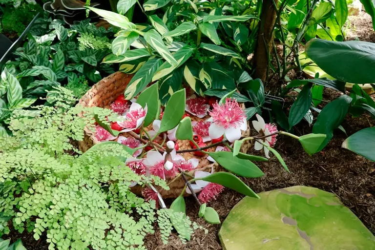 À Bois-Colombes, une expo nature à voir avant le 20 juillet