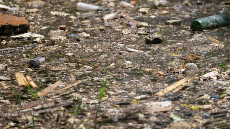 À Brest, la Penfeld sous surveillance après la pollution