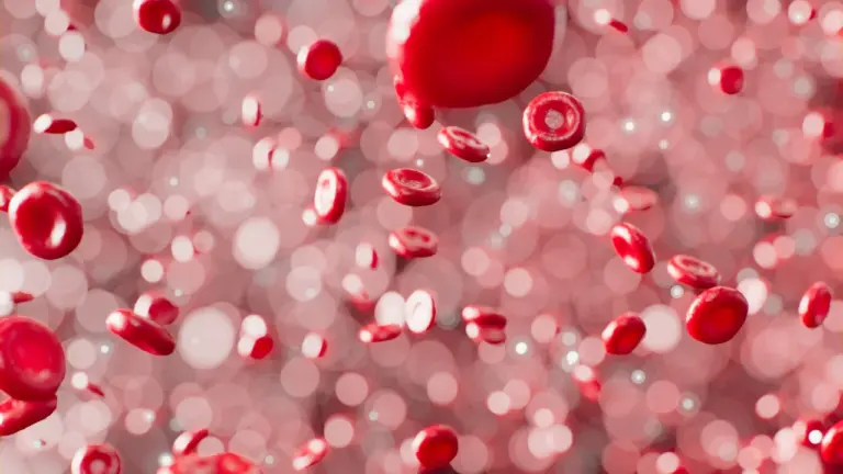 Vue microscopique artistique de cellules rouges circulant dans le sang humain.
