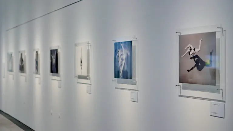 À Cherbourg, visite gratuite des arts modestes le 19 septembre