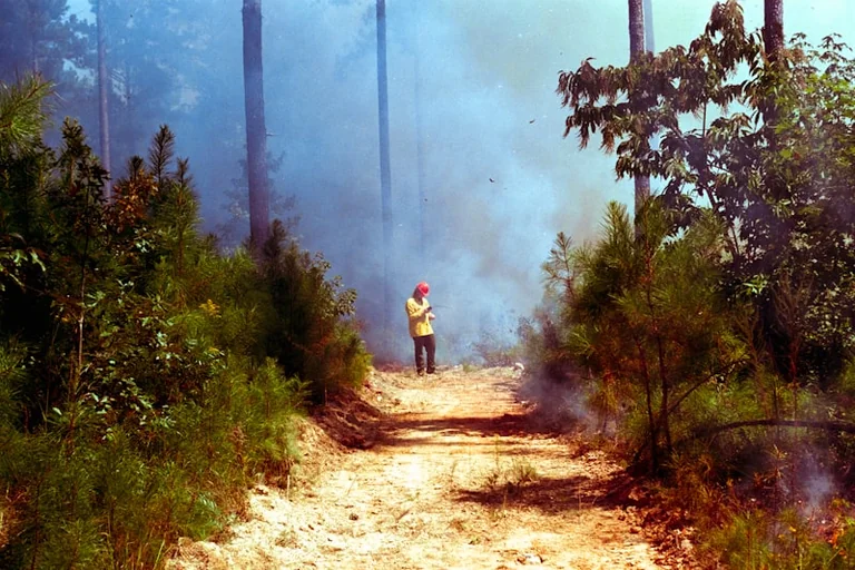 À Draguignan, ces gestes peuvent éviter un départ de feu