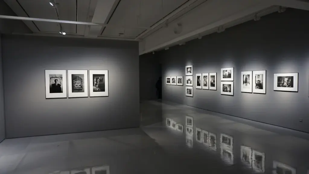 Galerie d'exposition avec des photographies encadrées sur des murs sombres et modernes.