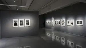 Galerie d'exposition avec des photographies encadrées sur des murs sombres et modernes.