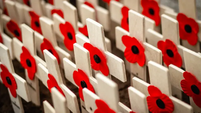 À Poitiers, une cérémonie gratuite pour la mémoire des victimes