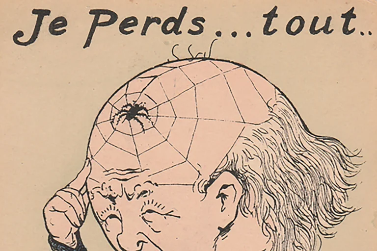 Antibes : une exposition insolite sur les araignées au musée