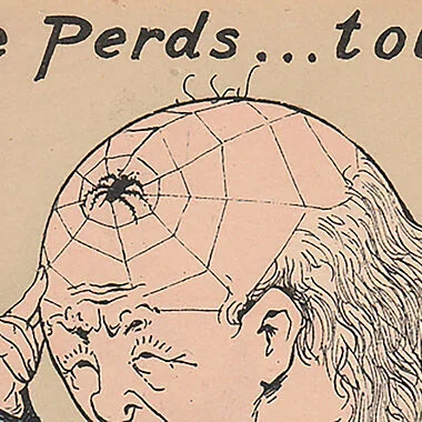 Antibes : une exposition insolite sur les araignées au musée