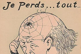 Antibes : une exposition insolite sur les araignées au musée