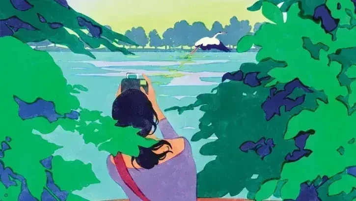 Étoile verte à Nantes : gratuit du 23 au 26 juillet