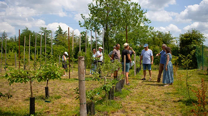 Grand Quevilly : atelier « Le verger en été » gratuit le 22 juillet
