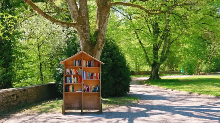 Grenoble : les bibliothèques sortent tout l’été, gratuitement