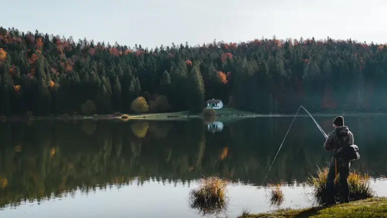 Un pêcheur au bord d'un lac entouré d'une forêt dense en France.