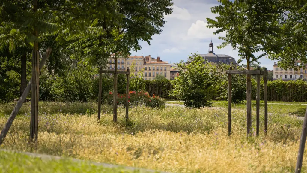 Vue panoramique du Jardin botanique de Bordeaux lors d'une journée ensoleillée.
