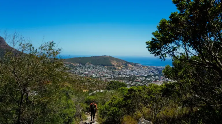 Trail des Hauteurs à Bondy : sept formats dès 5 €