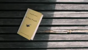 Un livre posé sur un banc en bois dans une ambiance calme et littéraire.