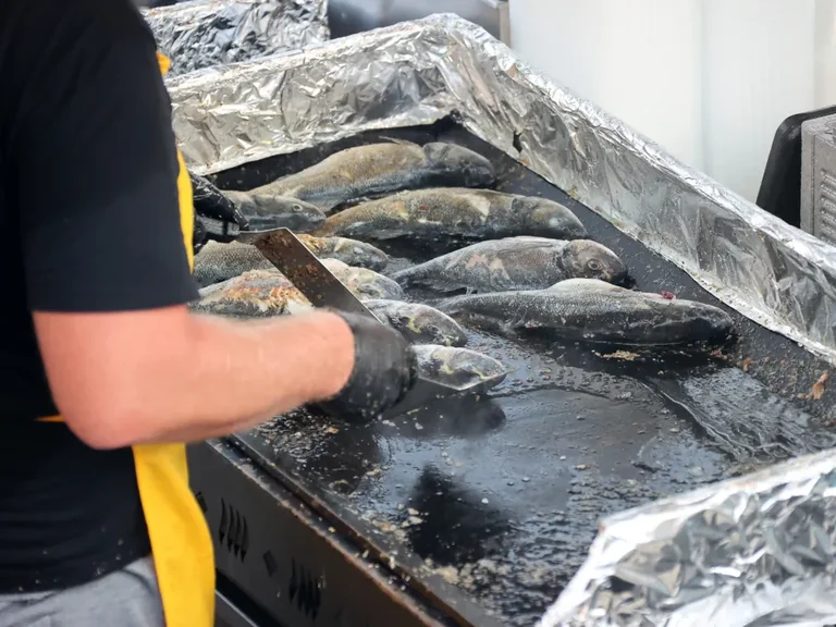 À Toulon, la Nuit des Pêcheurs réunit les générations