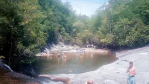 Baigneurs profitant d'un bassin naturel entouré d'arbres pour se rafraîchir lors d'une canicule.