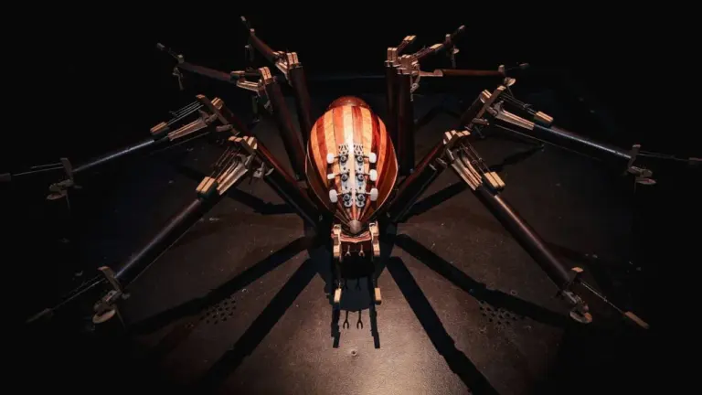 Anima (Ex) Musica au Havre : 13 insectes s’animent
