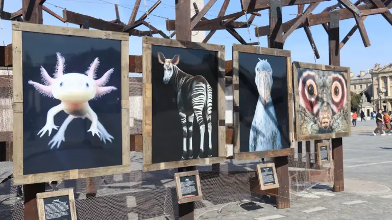 Aulnay-sous-Bois : une exposition pour protéger la biodiversité