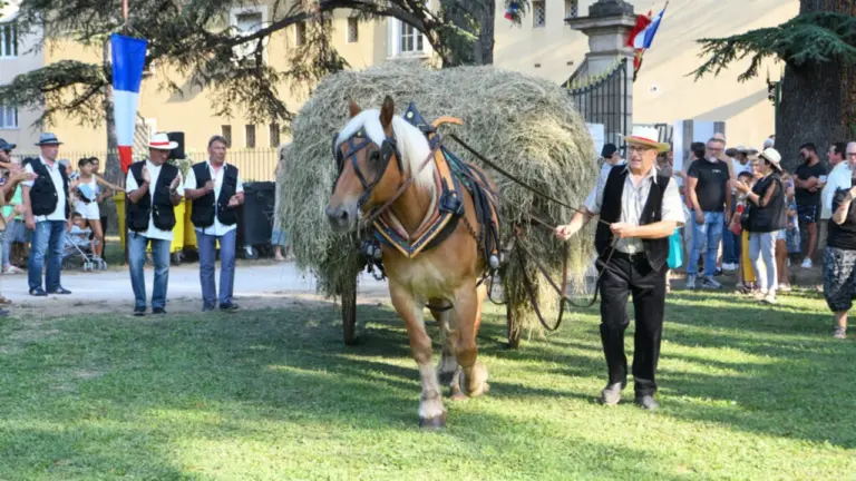 Avignon : trois jours de Fête des Foins à Montfavet