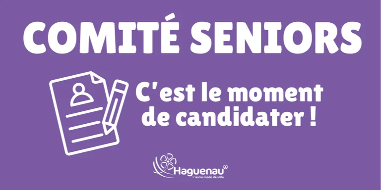 Chaleur à Haguenau : qui est contacté, et où se rafraîchir