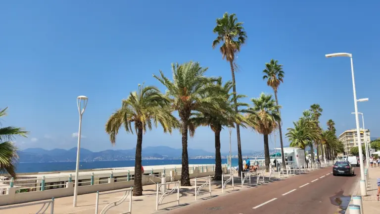 Concours photo à Cannes : tentez de gagner en immortalisant le tissu associatif
