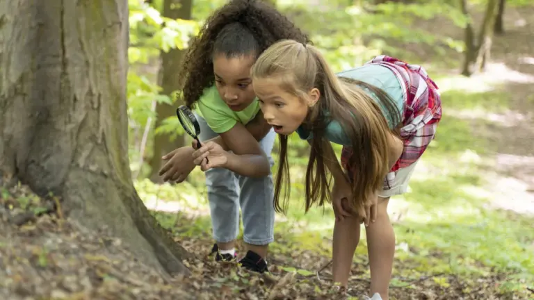 Cergy : un séjour nature en Normandie pour les 6-10 ans cet automne