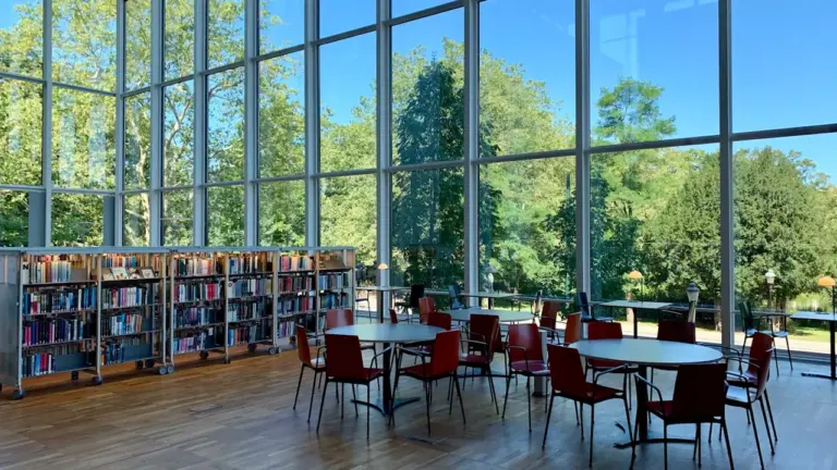 Nogent : la bibliothèque Cavanna fête ses nouveaux espaces