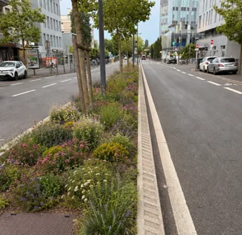 Nogent-sur-Marne : l'avenue de Joinville passe au vert pour un mois