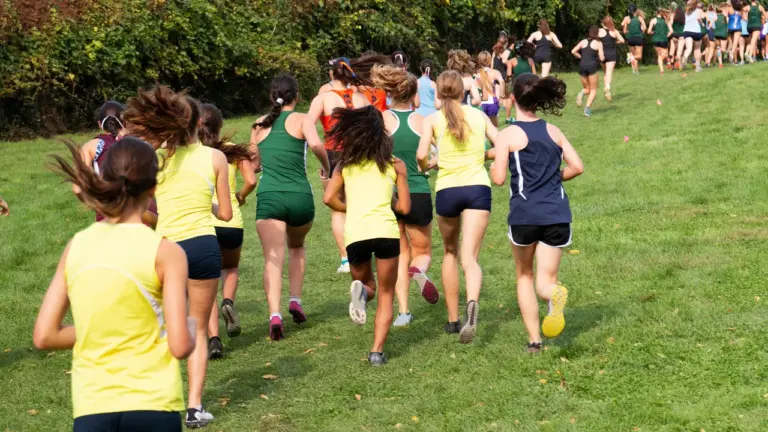 À Draveil, deux cross scolaires ferment des rues et des routes forestières