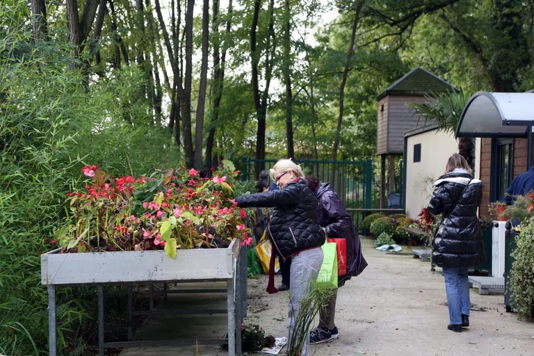 Nogent : plantes et bulbes gratuits à récupérer au dépôt des espaces verts