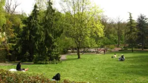 Des gens profitent d'une journée ensoleillée dans un parc public entouré de grands arbres.